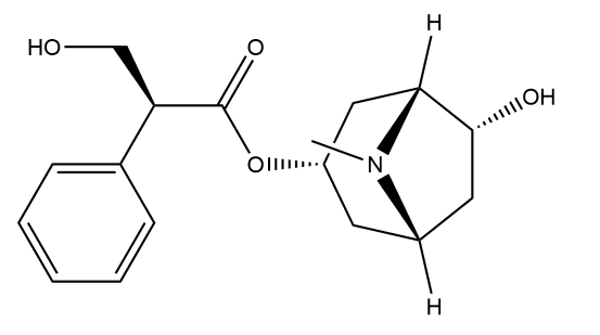 6α- 羟基莨菪碱