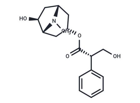 左旋山莨菪碱