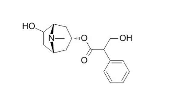 山莨菪碱及杂质系列