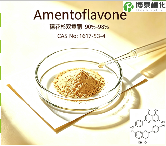 穗花杉双黄酮90-98%