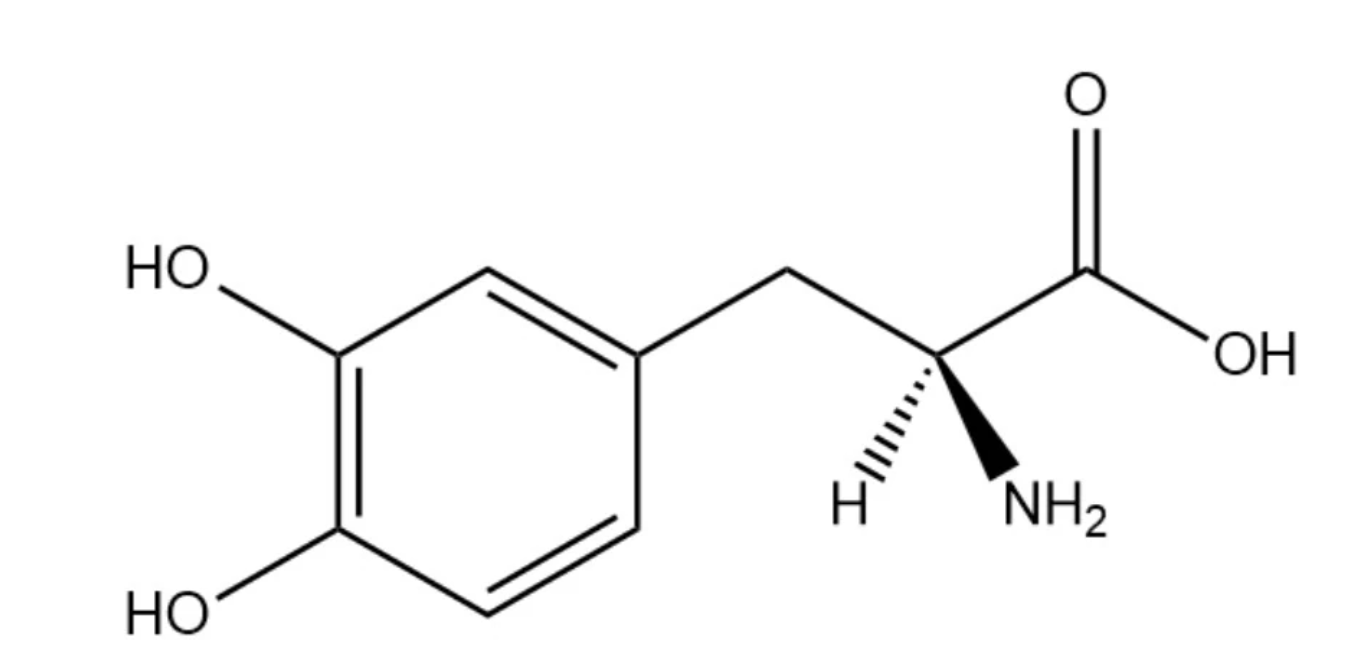 结构式
